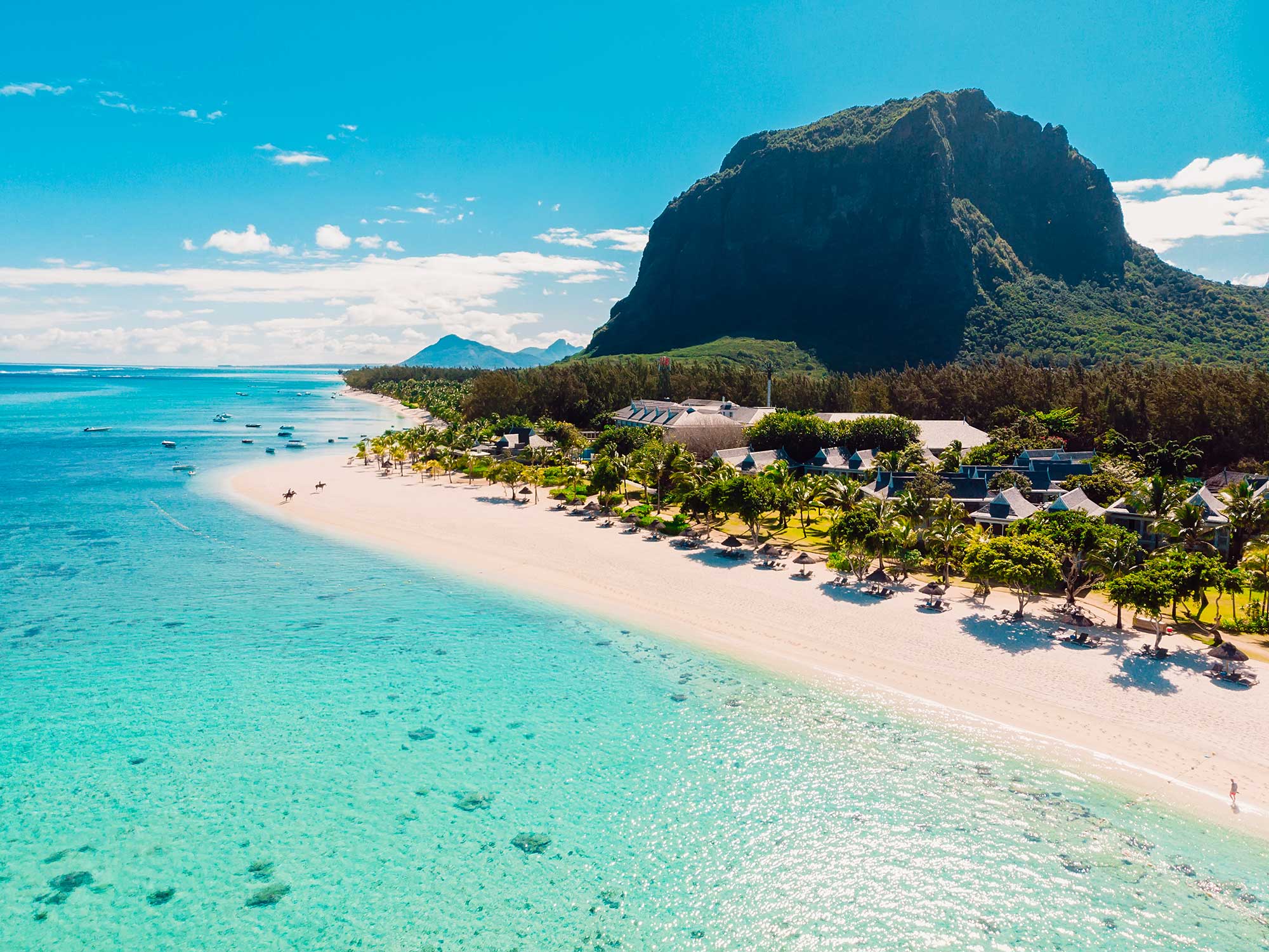 Safari Big 5 et évasion mauricienne