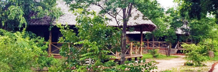 Angalia Tented Camp - Mikumi National Park