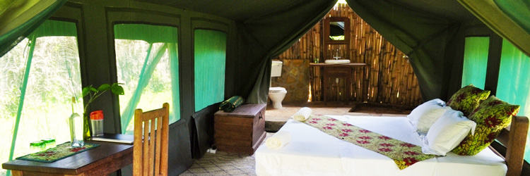 Hondo Hondo Udzungwa Forest Camp - Udzungwa Mountains National Park