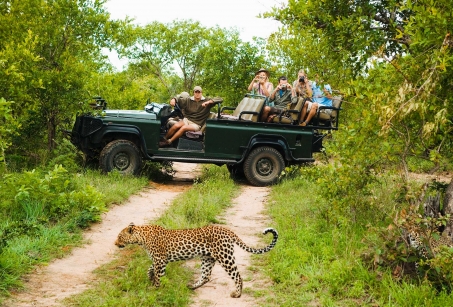 Aventure en famille en Afrique du Sud