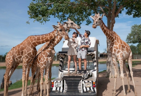 Romance et Safari en Afrique du Sud