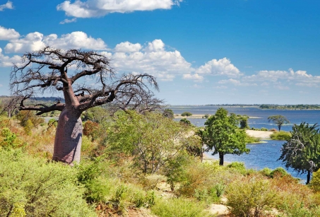 Le Botswana, safaris d'exception