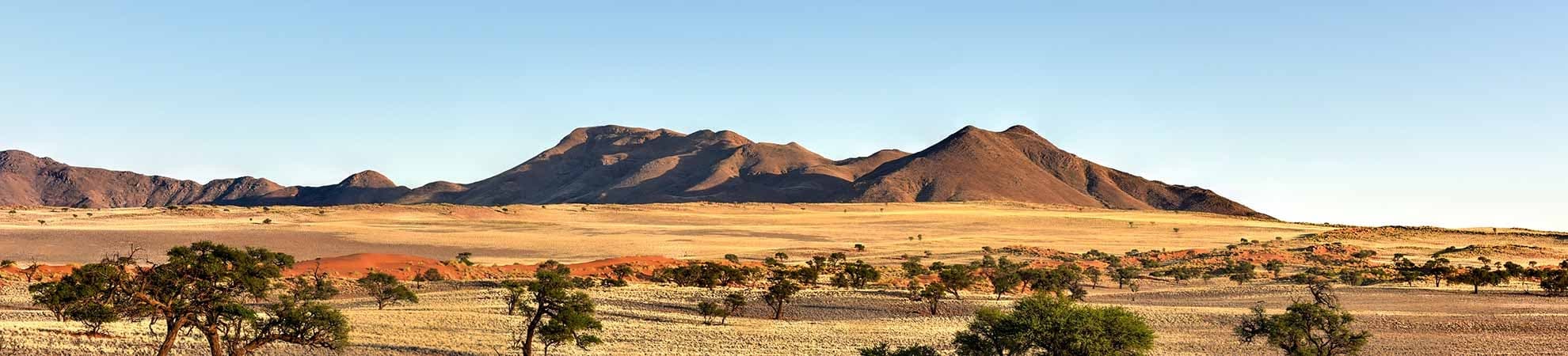 Ou Et Quand Partir En Namibie ? | Prestige Voyages En Afrique