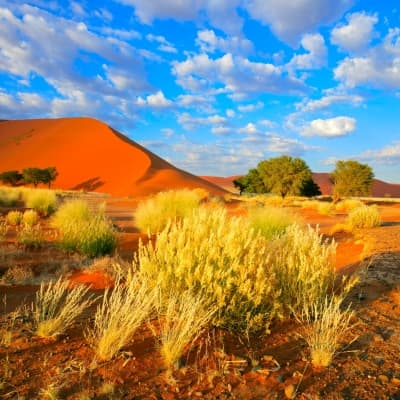 Ascension d’une dune de Sossusvlei