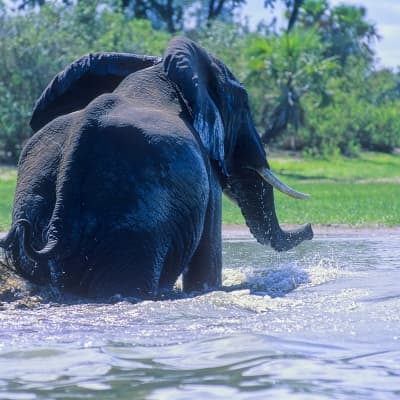 Au fil de la Rufiji River