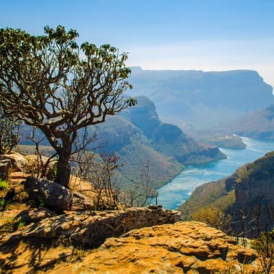 La découverte du Blyde River Canyon