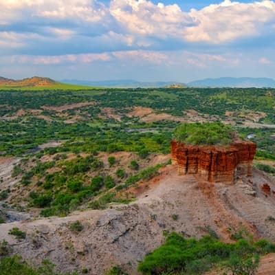 Le musée d'Olduvai