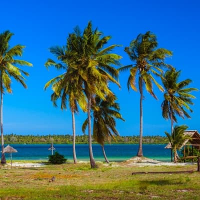 Mafia Island :  calme et tranquillité