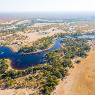 Survol du Delta en Hélicoptère