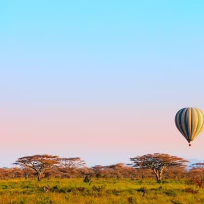 Survol en montgolfière au-dessus du Serengeti