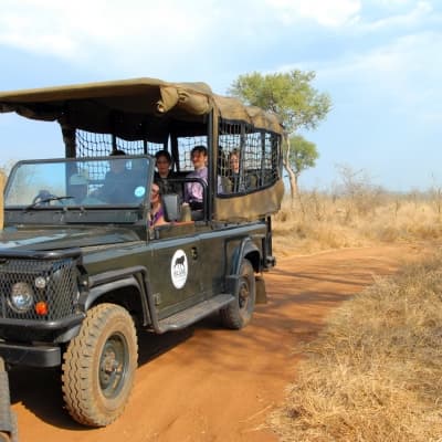 Un safari en 4x4 au Swaziland