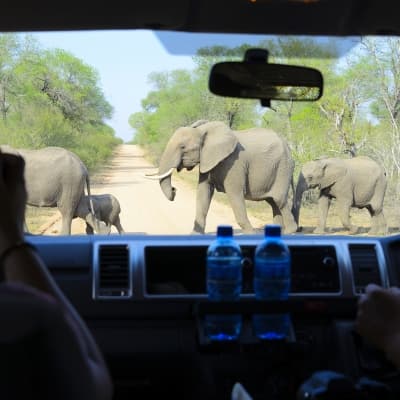 Un safari en 4x4 avec le Likweti Lodge & Sanctuary