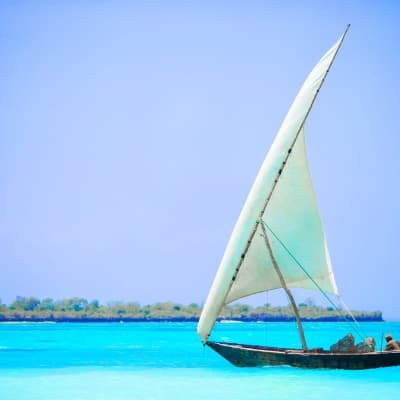 Une croisière en Boutre (Dhow)