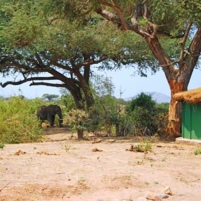 Visite de villages à Ruaha