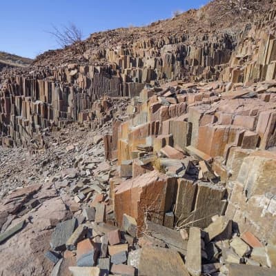 La Forêt pétrifiée du Damaraland