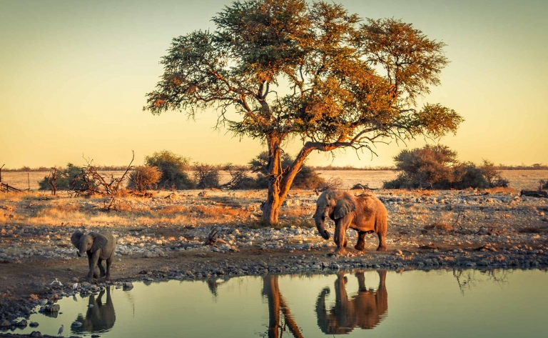 Zambèze, le fleuve majestueux qui coule à travers l'Afrique australe