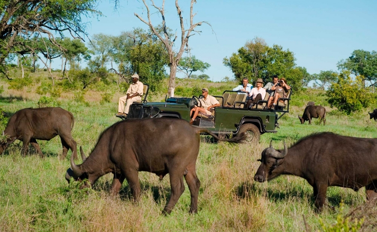 Le parc Kruger