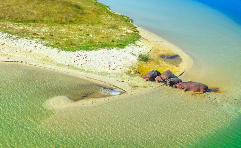 Estuaire d’Isimangaliso et plage de l’Océan Indien
