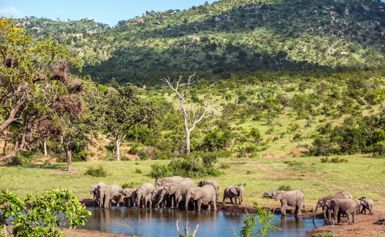 Premier safari en Réserve privée