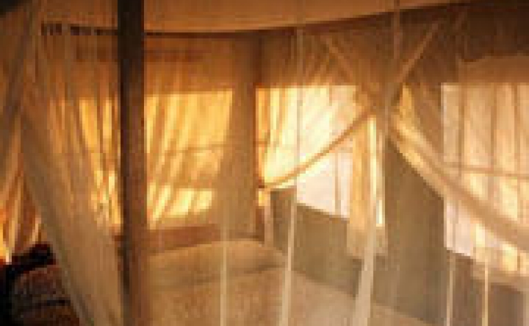 Hotel Selous Game Reserve