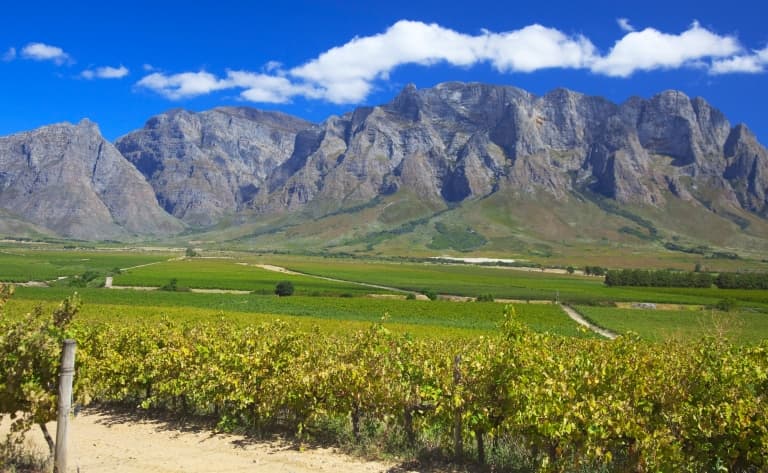Des vignobles de la région du Cap aux grands espaces du Mpumalanga