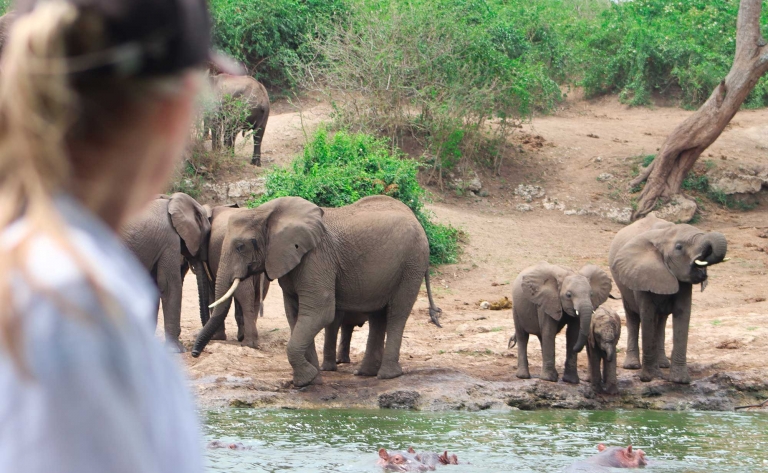 Safaris en bateau et 4x4