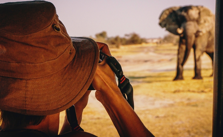 Safari au Tarangire : éléphants et baobabs