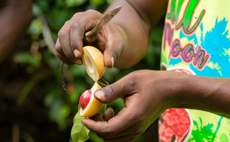 Journée gourmande : épices et cuisine locales