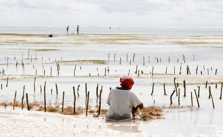 Plage et village : écotourisme et traditions locales