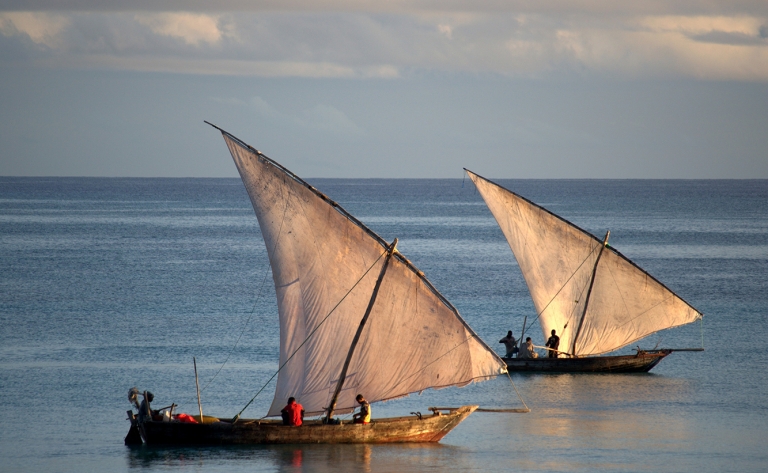 Survol de la brousse vers Zanzibar