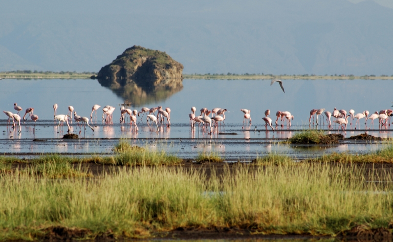 Exploration du cratère du Ngorongoro