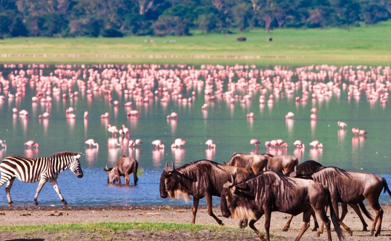 Romance et aventure au Cratère du Ngorongoro
