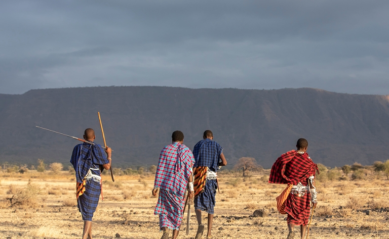 Merveilleux cratère du Ngorongoro 