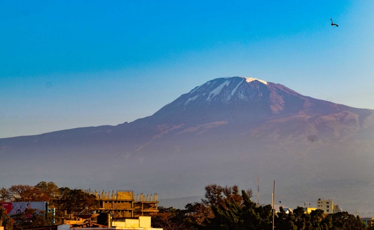 Vue imprenable sur le Kilimanjaro