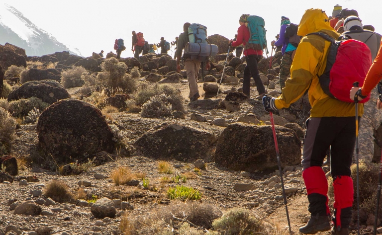 Randonnée sur la voie Machame au cœur du Kilimanjaro
