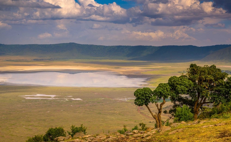 Explorez le Cratère du Ngorongoro : Écosystème Unique
