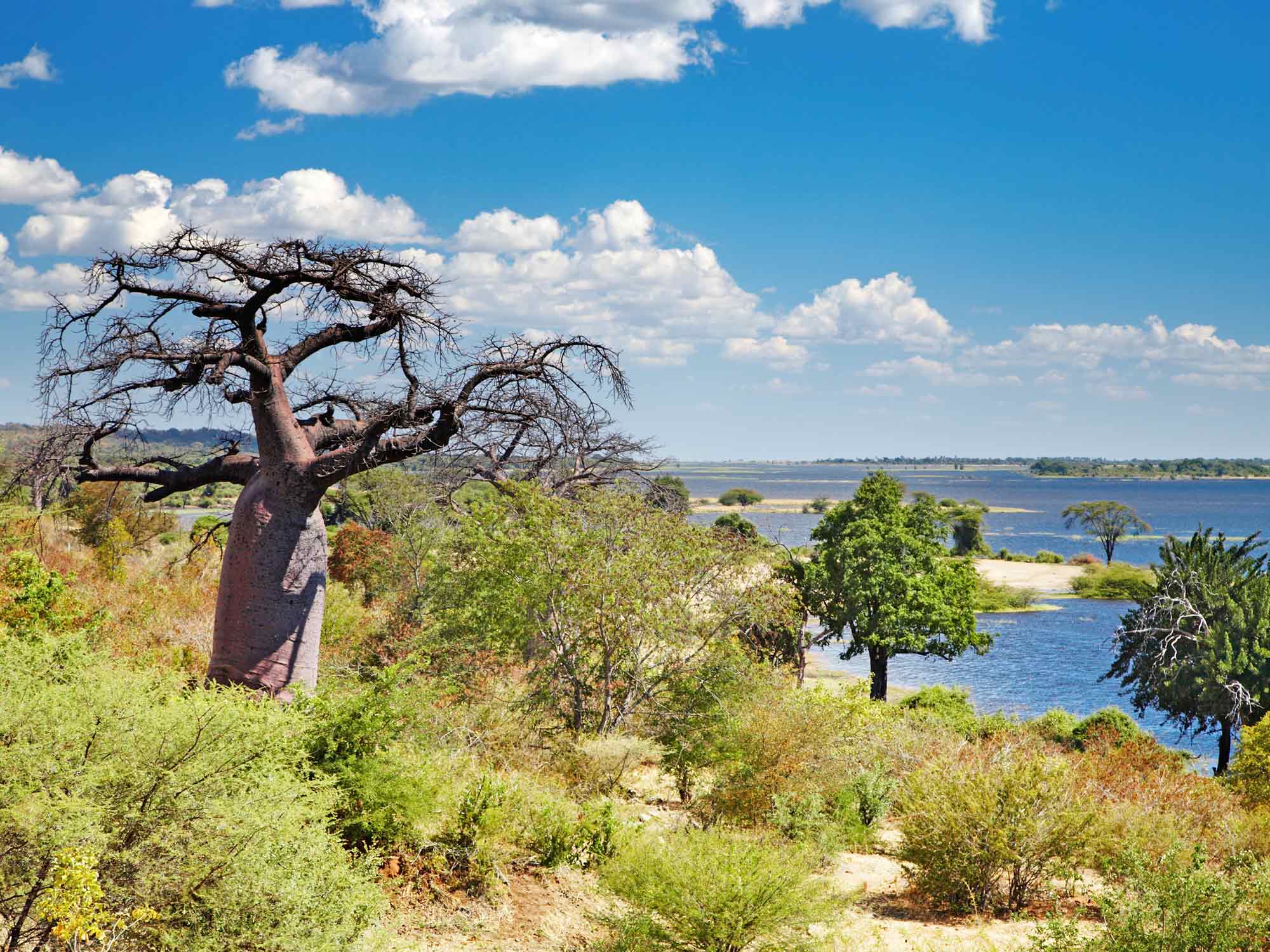 Le Botswana, safaris d'exception
